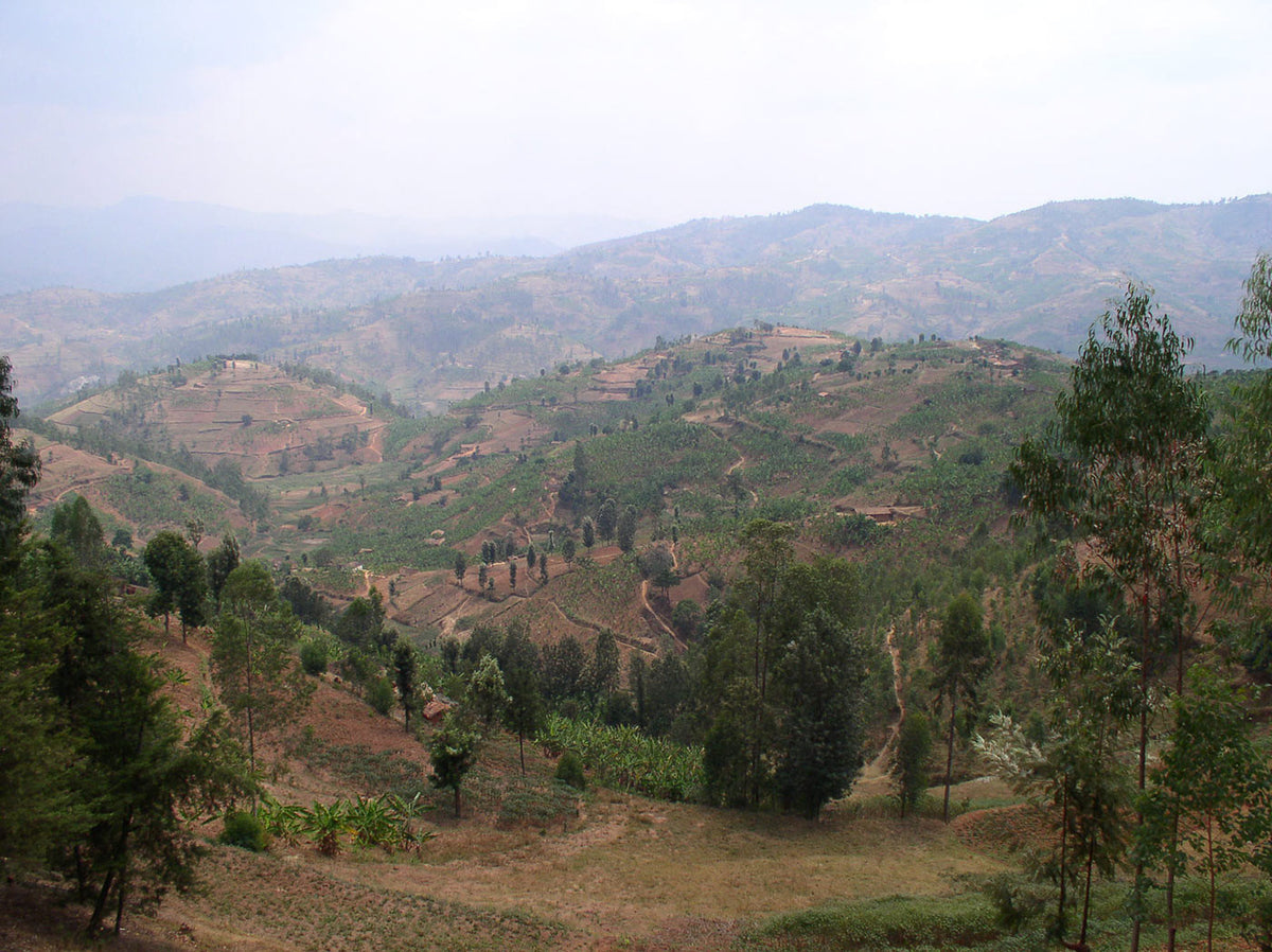 Rwanda Abakundakawa – Water Avenue Coffee