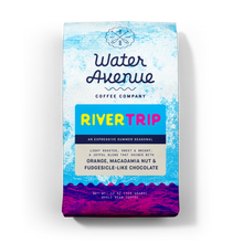 Load image into Gallery viewer, River Trip bag from the front
